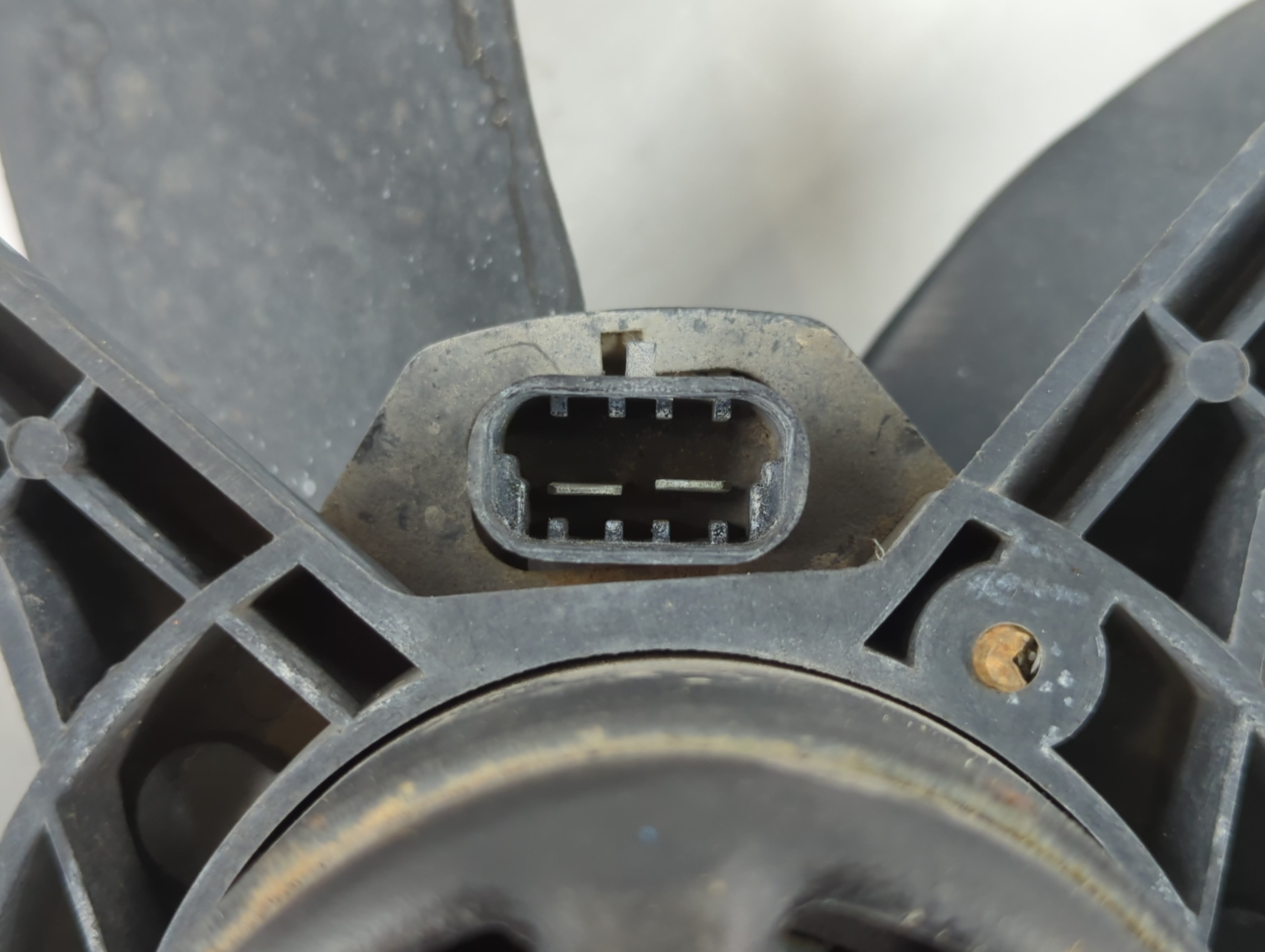 2000 Ford F-250 Super Duty Replace Title - Oemusedautoparts1.com