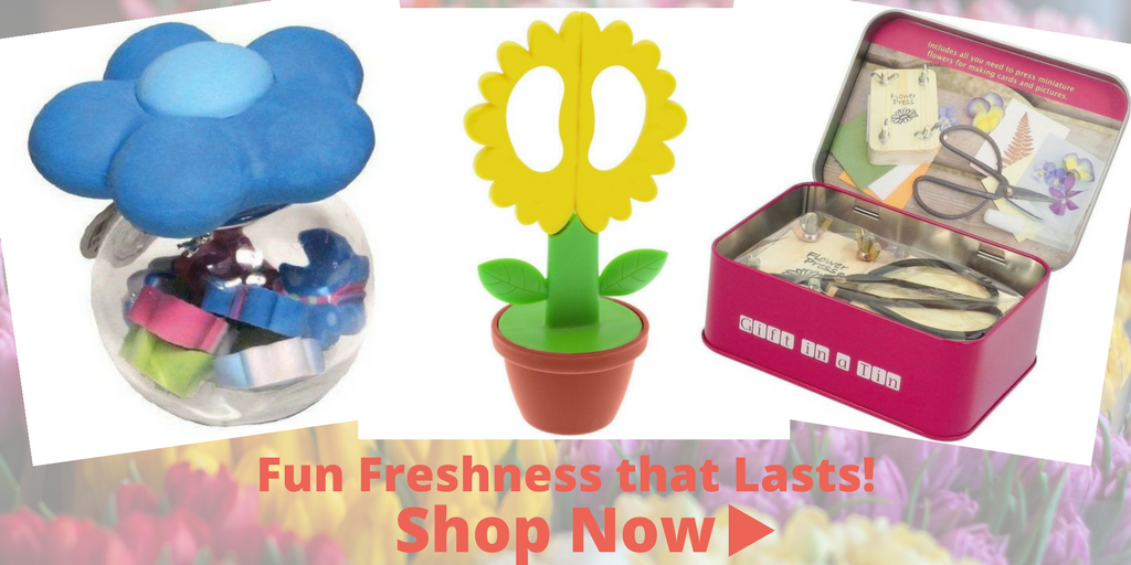 Shop Now Fun and Flowers