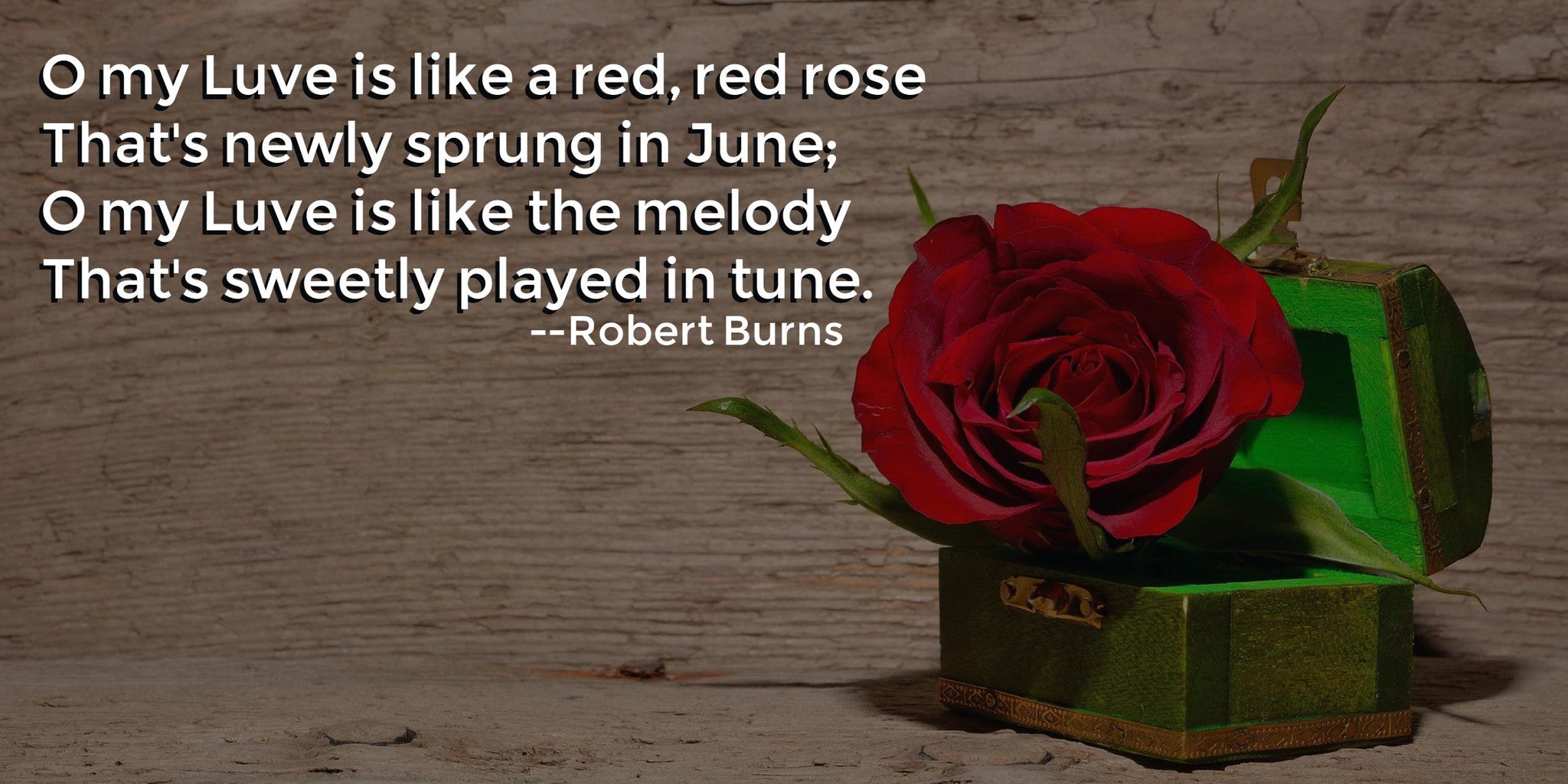 A Red, Red Rose Poem