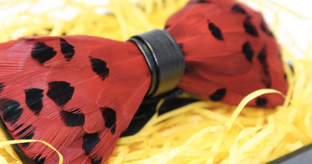 Red Feather Bow Tie