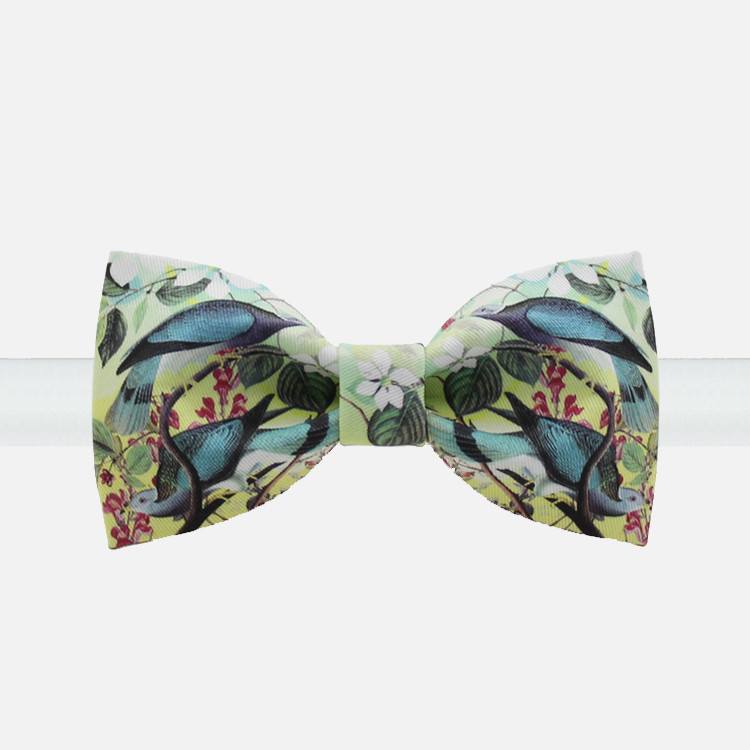Tropical Birds Bow Tie – Bow Ties for Men – Bow SelecTie