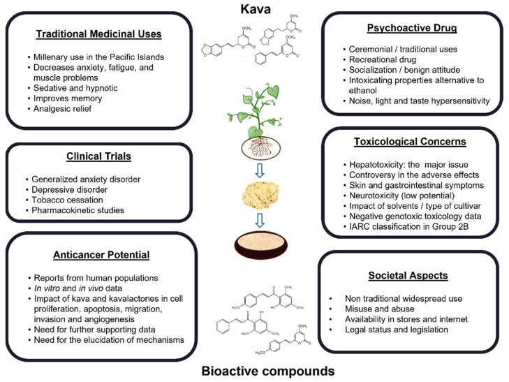 kava root effects