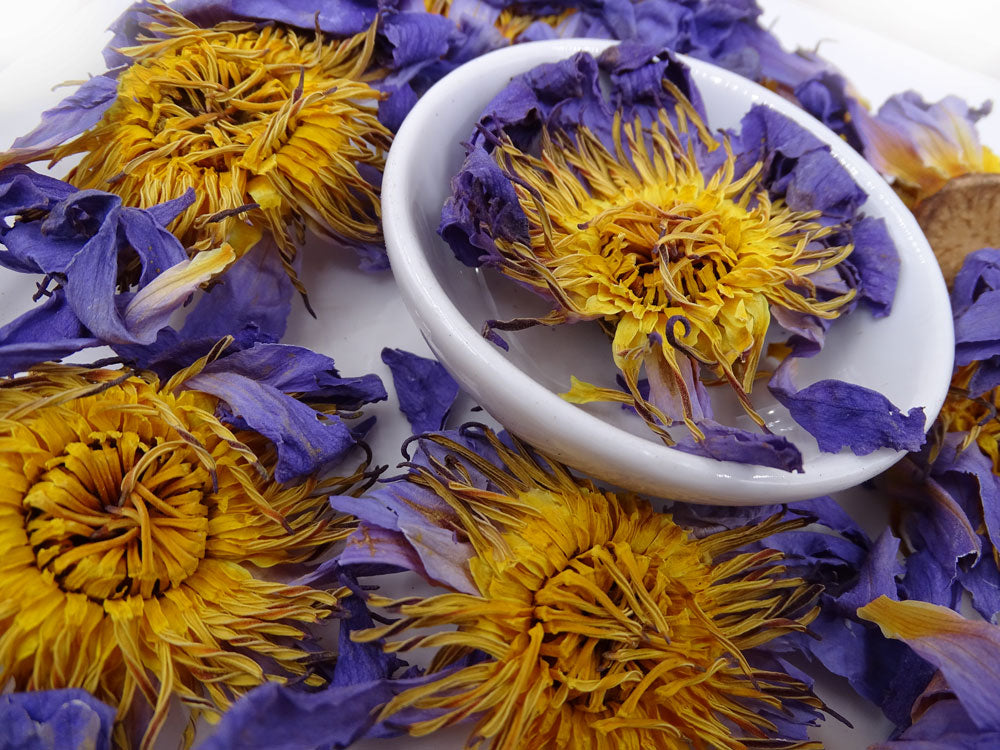 Buy Blue Lotus Flower Online Tea Life Australia Tea Life