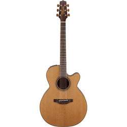 takamine 100 series