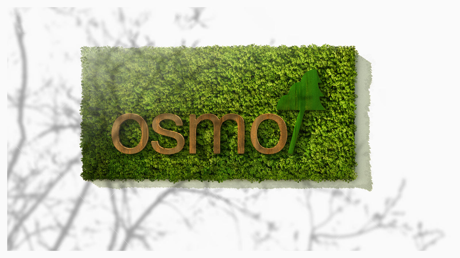 Проект - лого Osmo