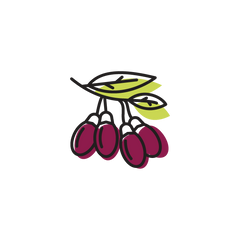 ingredient - goji berry