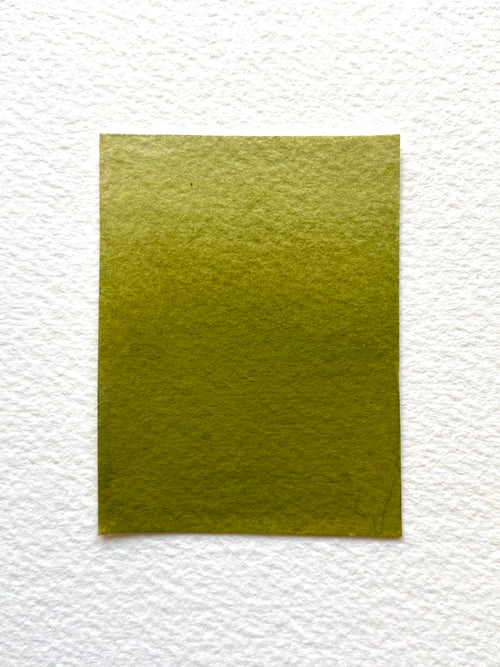 Lichen Green – Ocean Paper