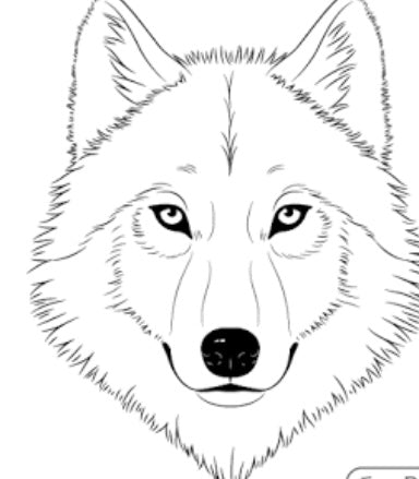 totem animal wolf