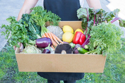 Healthy Ready Made Meals Delivered Melbourne