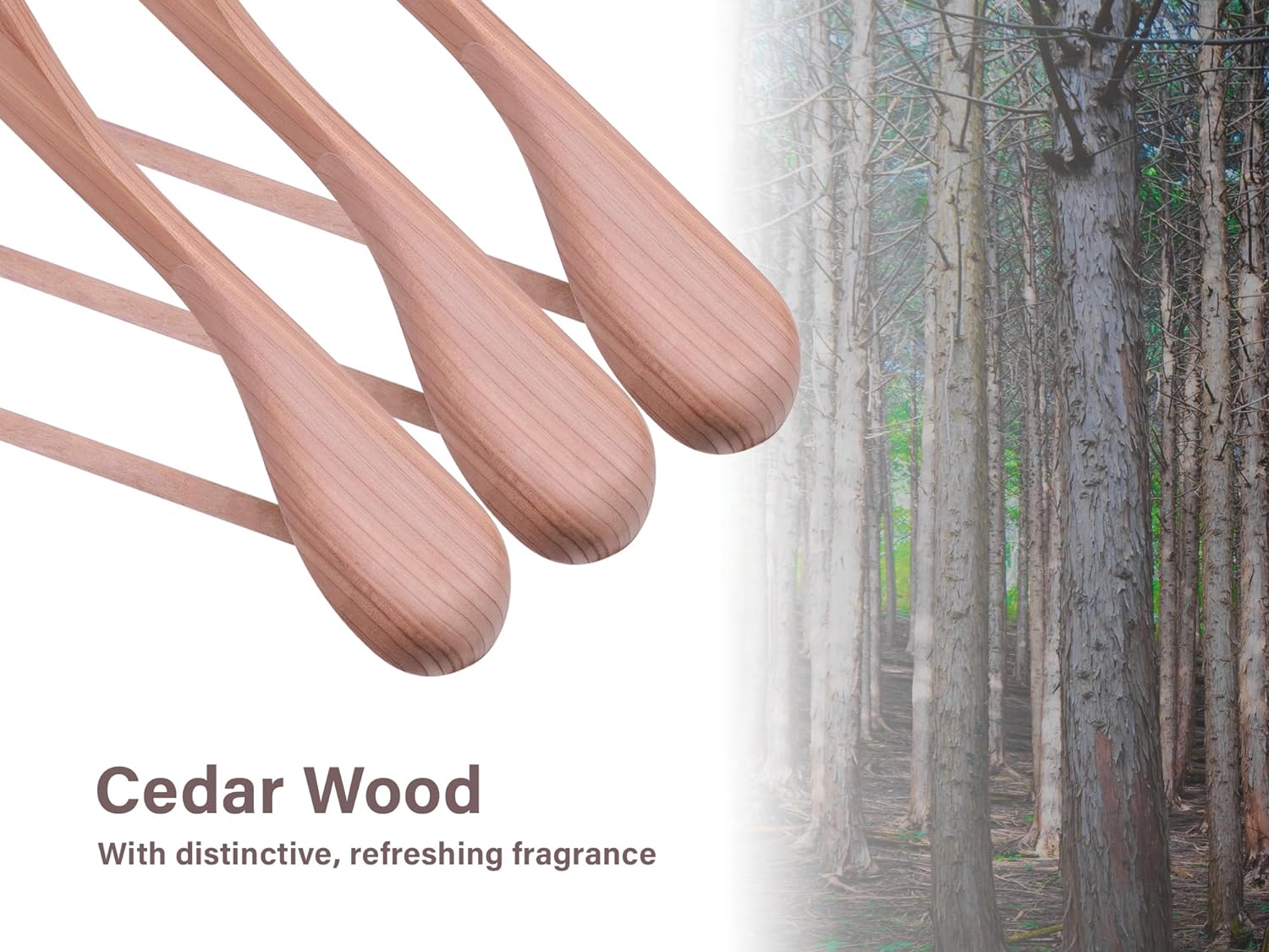 Cedarwood hangers have distinctive, refreshing fragrance that dispel insects.