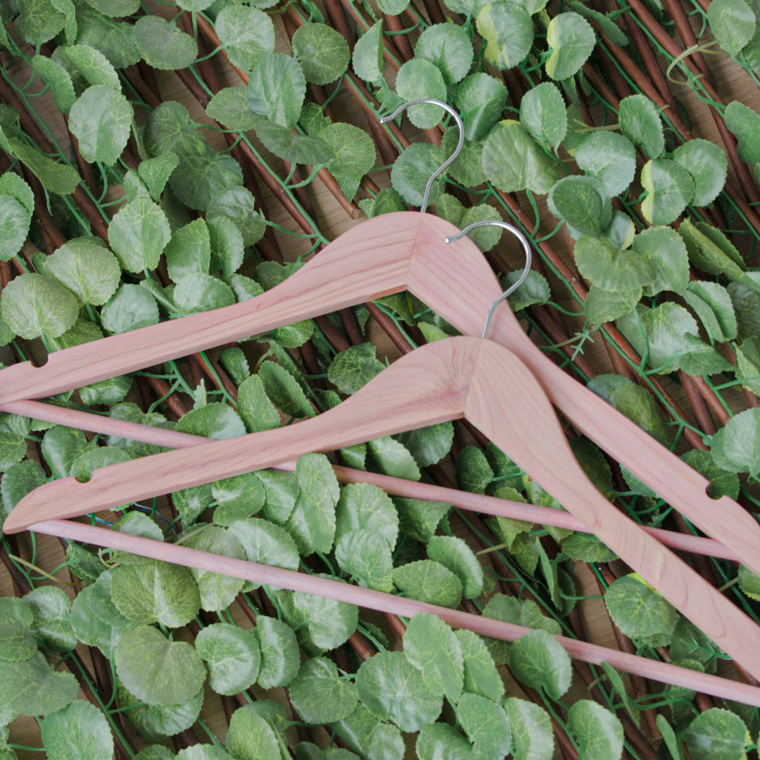 The Best Wooden Hangers for Your Closet – STORAGEWORKS