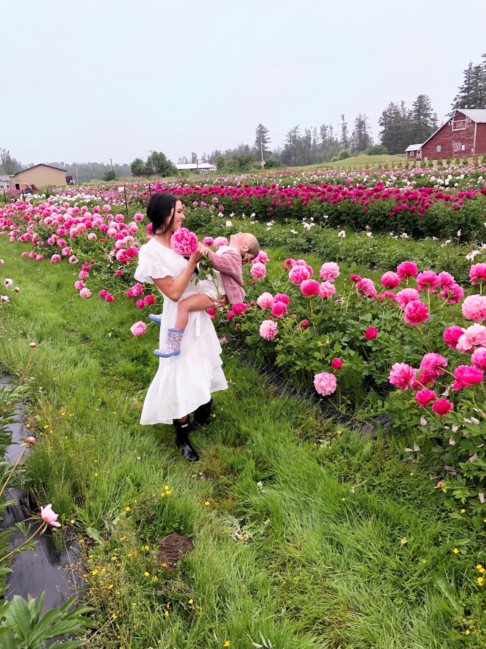 Peony Farm