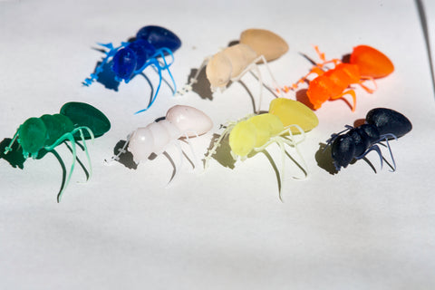 Ants 3d Printed in standard resin