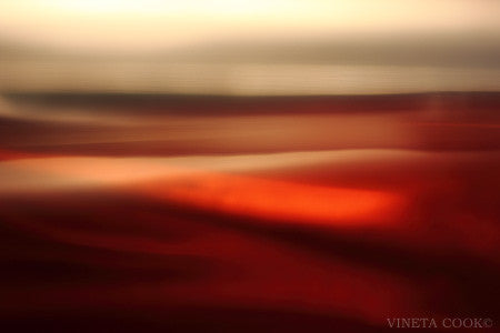 Landscapes – Vineta