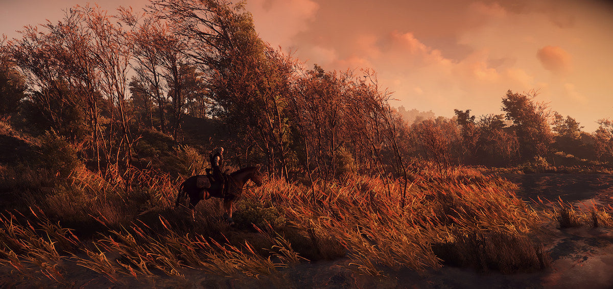 The Witcher 3: Wild Hunt; image courtesy of Casablanca L on Flickr