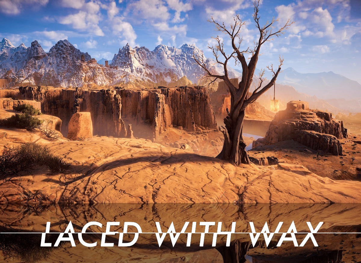 Laced With Wax Point and shoot: Bringing video game photo modes into focus