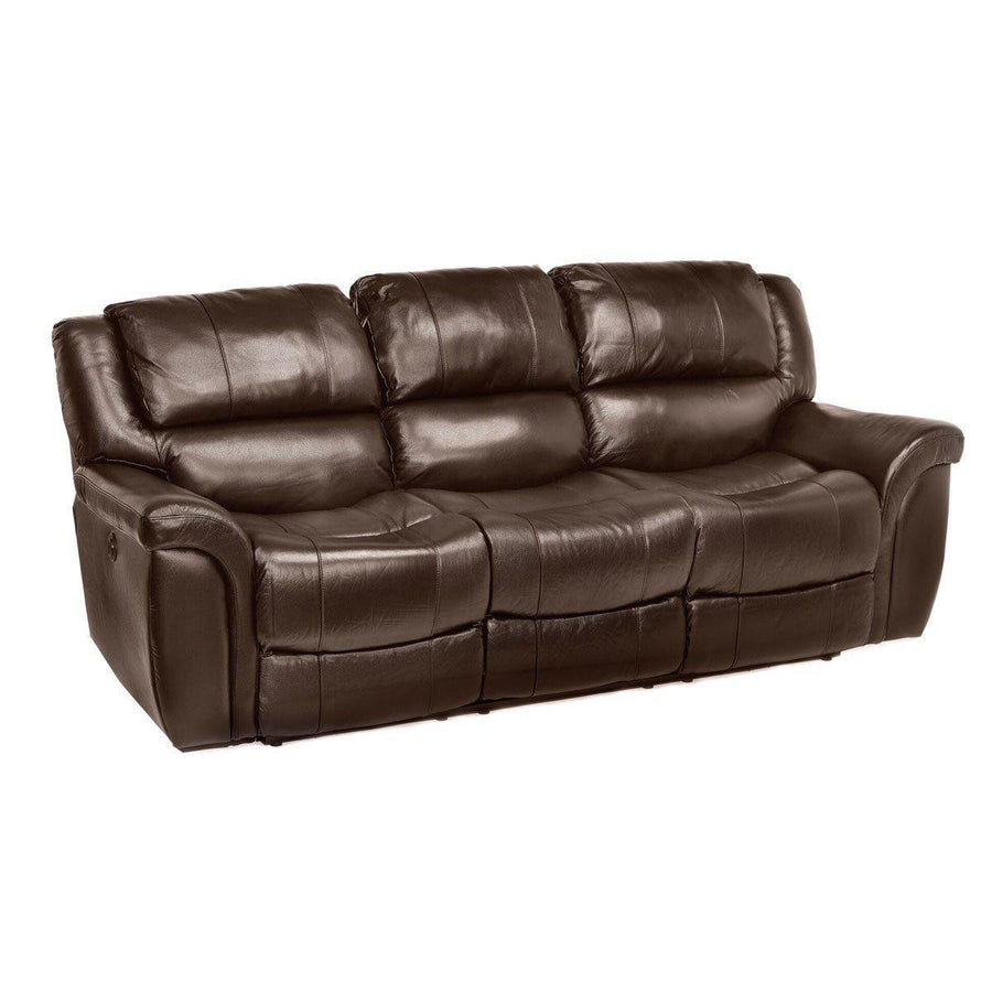 Dawson Lion Power Reclining Living Room Set Sofabed Com