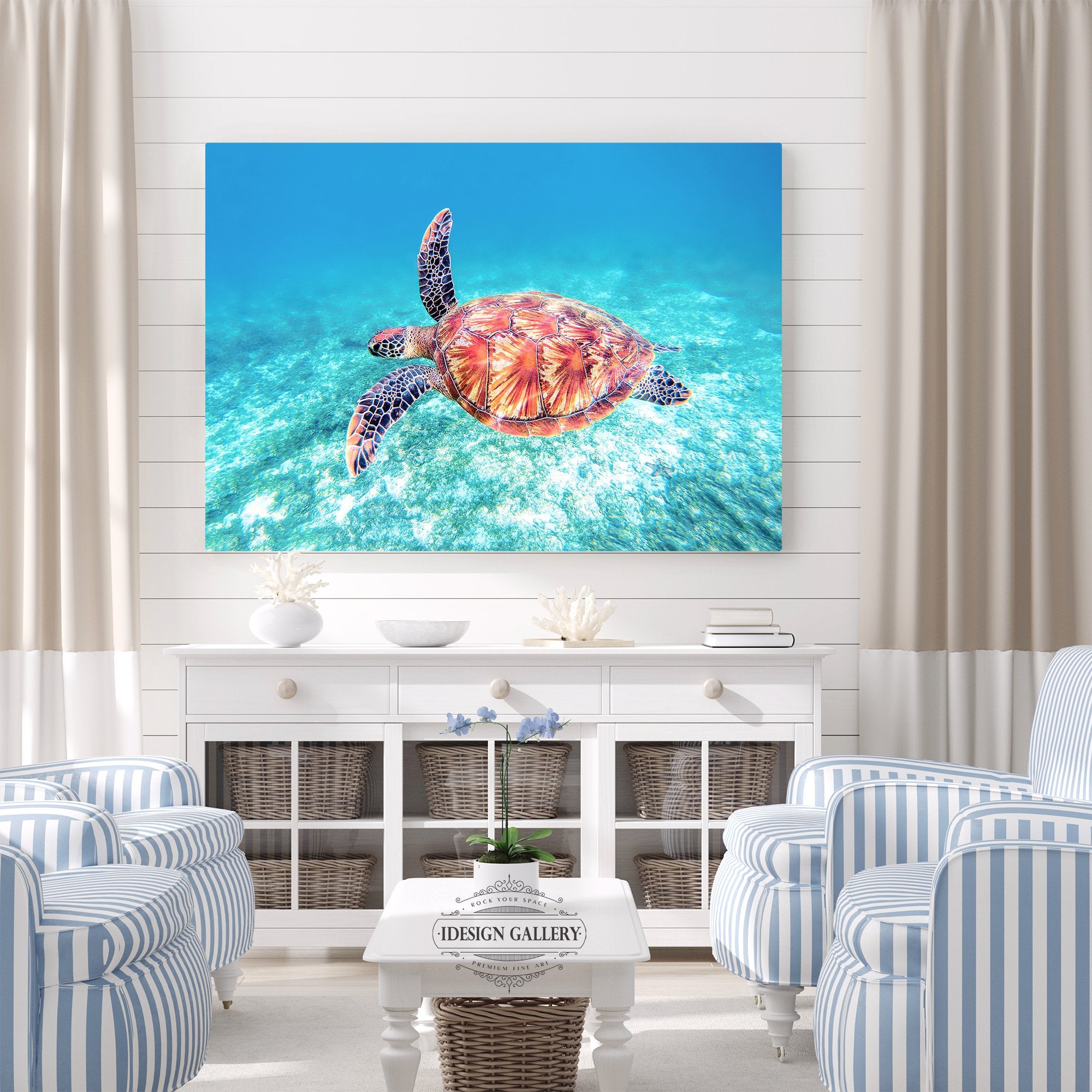 Sea Turtle Fly-By – iDesign Gallery