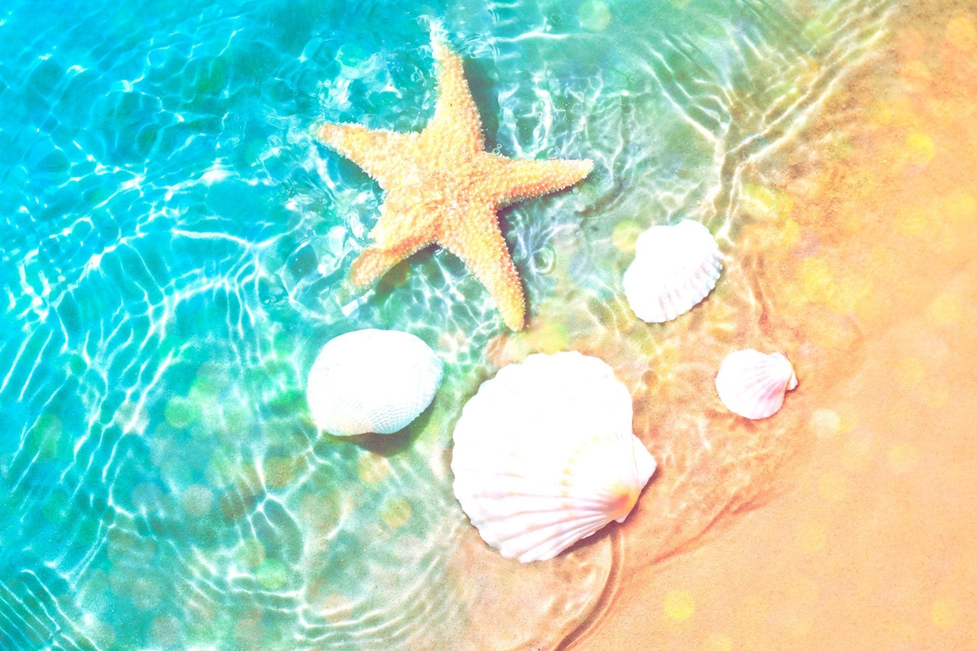  Blueangle 3 Piece Summer Beach Starfish and Seashell