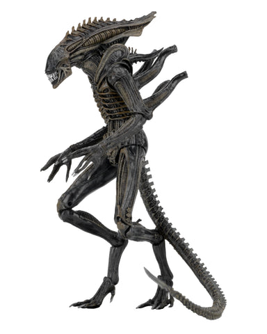 neca aliens series 12