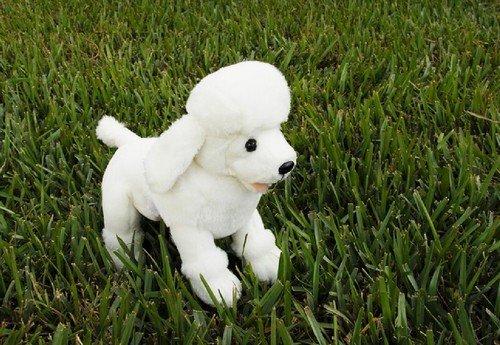 Sunny Toys 10" Poodle (white, Sitting)
