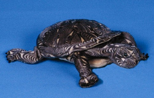 12 Wood Turtle Puppet
