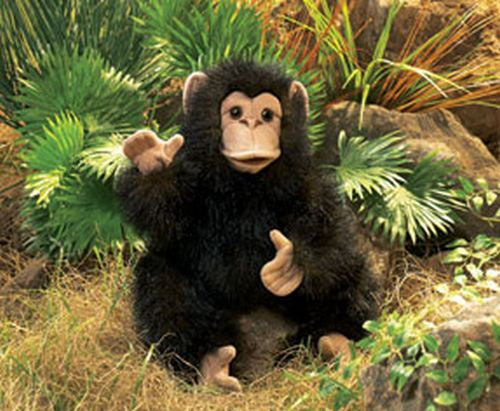 Folkmanis Chimpanzee, Baby Hand Puppet - 2877
