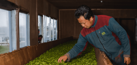 Farmers' Green Green tea leaves