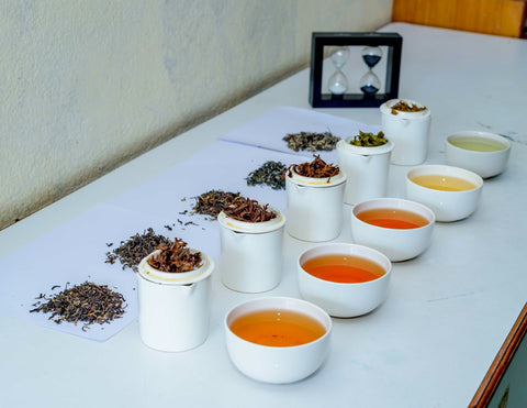 Tea tasting cups arranged in order.