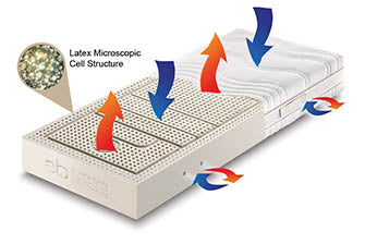 Latex open cell structure