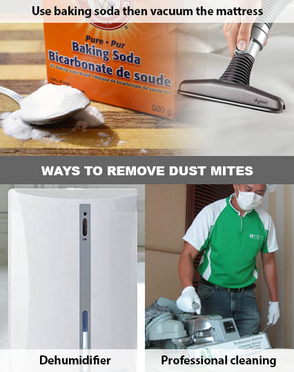 Ways to remove dust mite