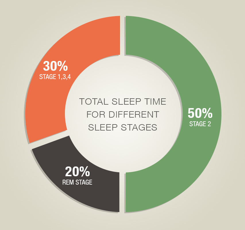 Total Sleep Time In Different Sleep Stages