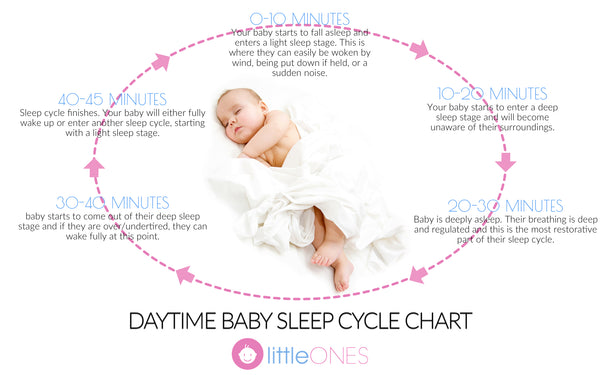 Infant Sleep Cycles Chart