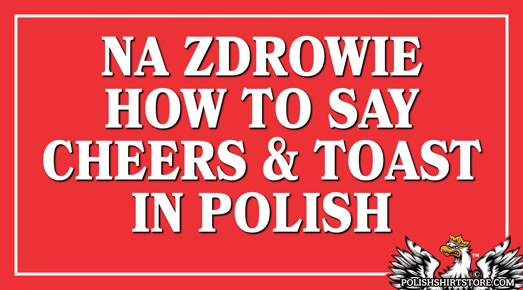 Na Zdrowie - Cheers In Polish - How To Toast In Polish - Polish Shirt Store