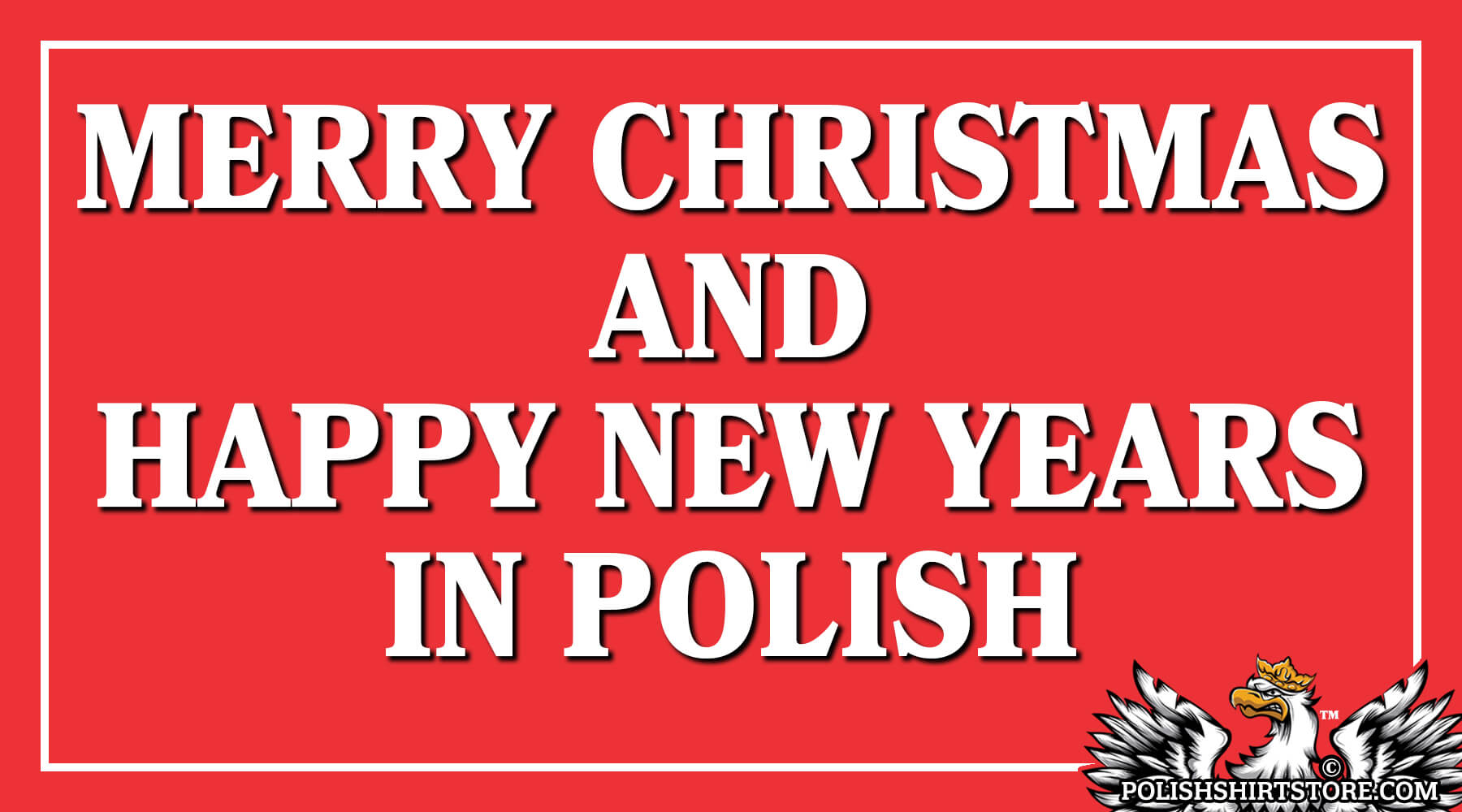 propeller badminton Proficiat Merry Christmas and Happy New Year in Polish - Polish Shirt Store