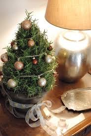 Small Christmas Trees - Adley & Company Inc.