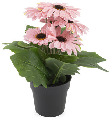 Soft Pink Gerbera Daisy, Set of 4 – Adley & Company