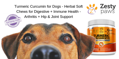 11 Best Turmeric Supplements 5 Turmeric Benefits You Need Right Now Eye Love