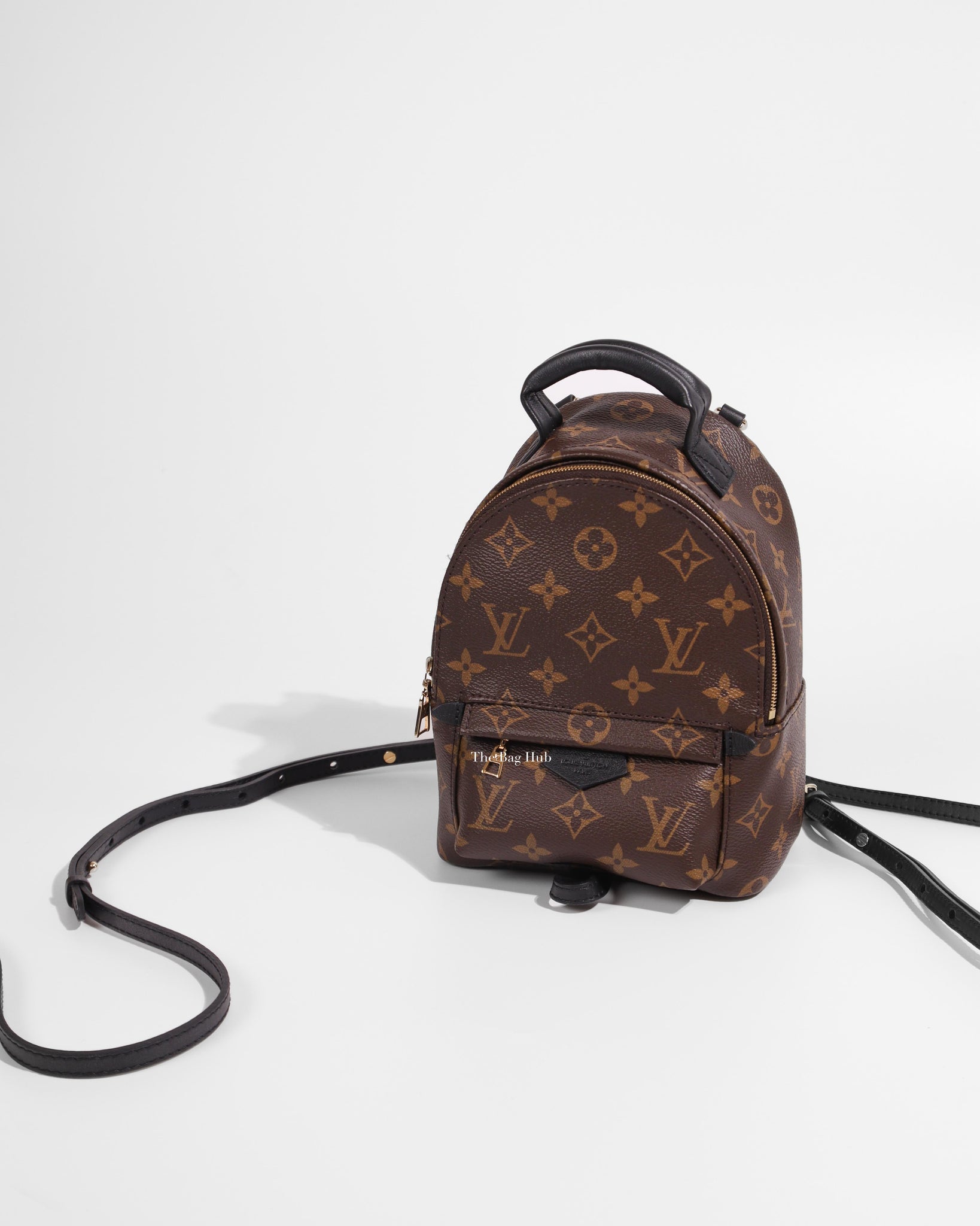 Louis Vuitton Palm Springs Monogram Mini Backpack Brown  Voilaid