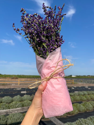 bouquet of lavender wrapped in pink tissue paper and a twine ribbon