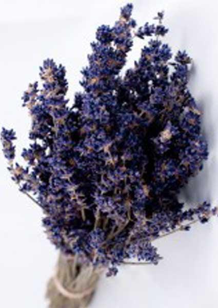 Dried Lavender - 25 Bunches – PetalDriven
