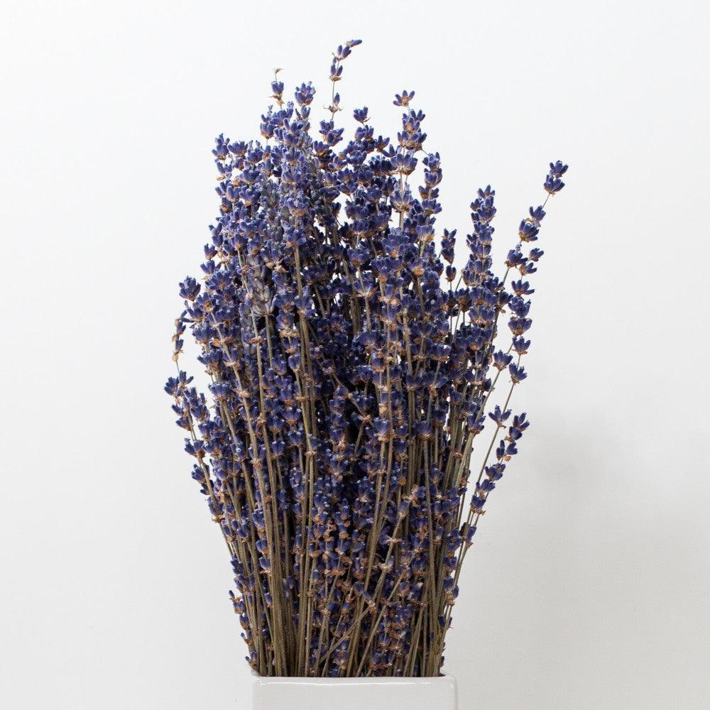 230+ Stems Dried Lavender Flowers Bundles, 3 Bunches Stems Natural Dry  Lavender Flowers Sprigs Stems 17 Dried Flowers for DIY Home Fragrance  Wedding