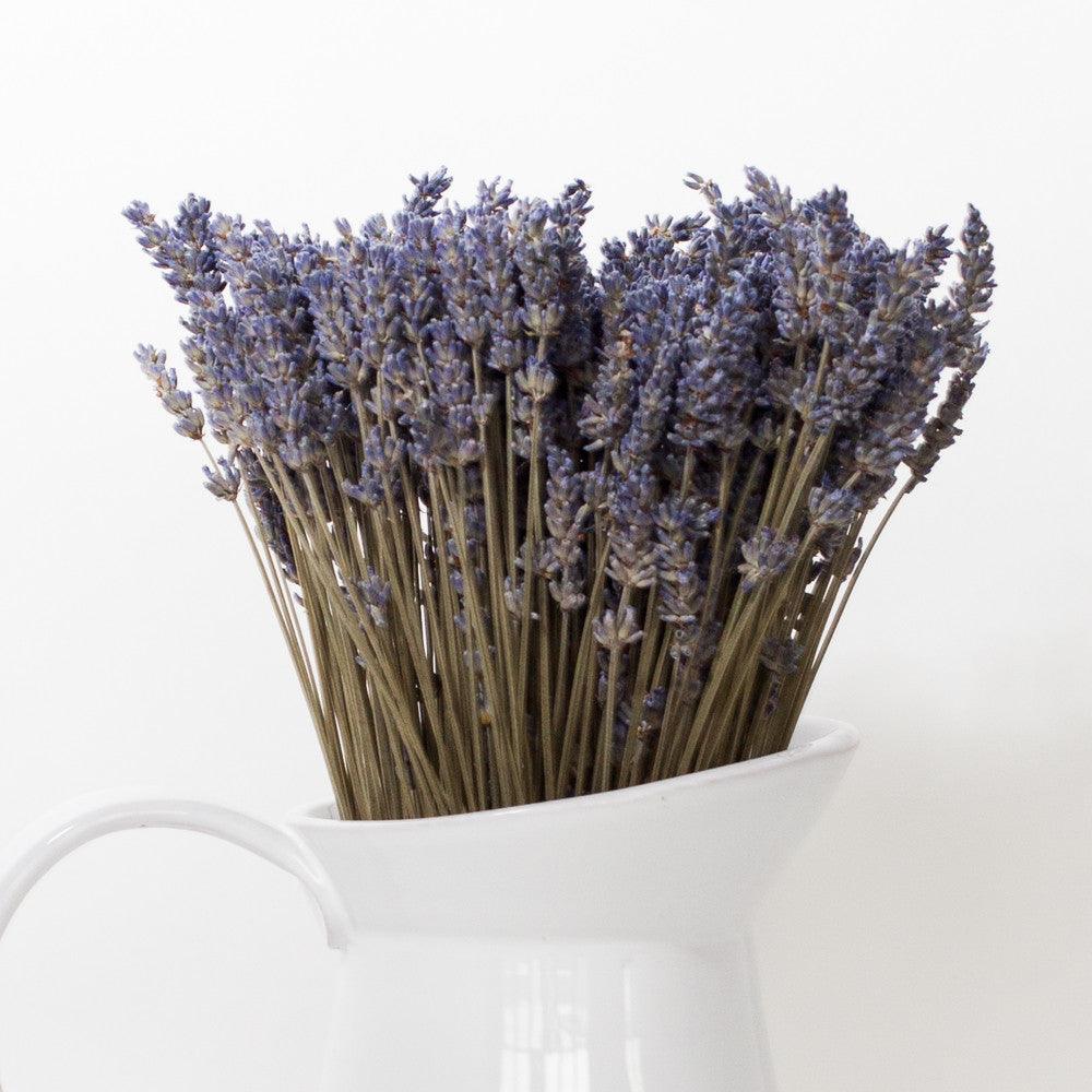 Dried Lavender Bunch, Elevated View Greeting Card by Westend61