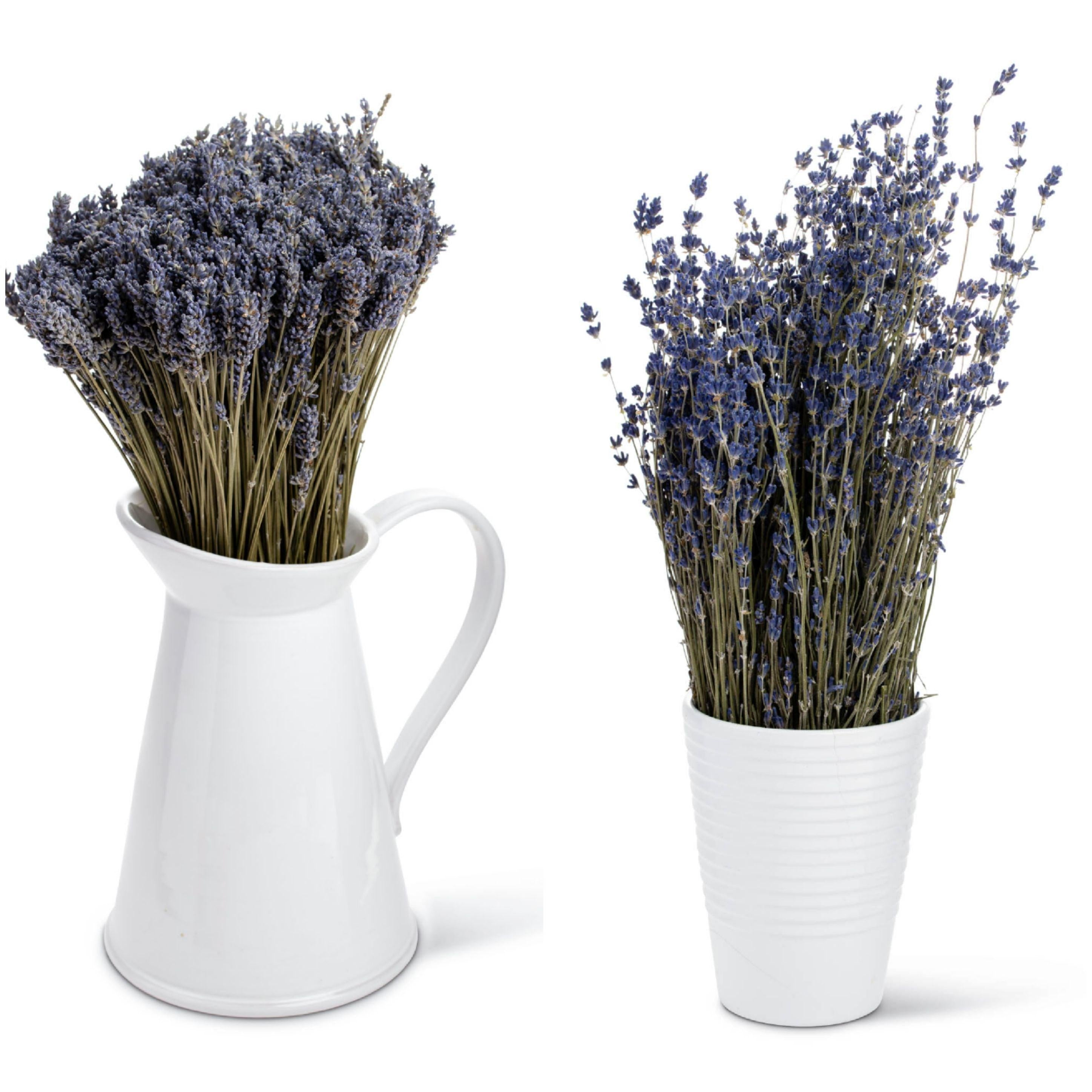 French Dried Lavender Flowers Bunch, Fragrant 100gr