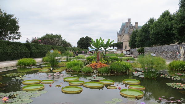 The Biltmore Estate in Asheville, NC