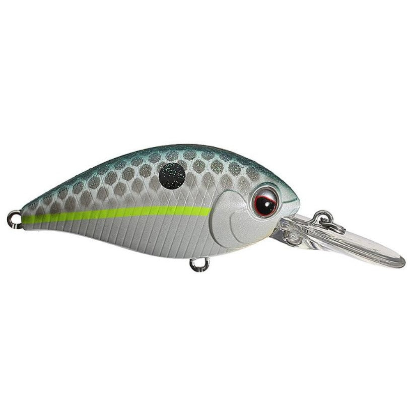 https://cdn.shopify.com/s/files/1/1228/3222/products/16queenshad.jpg?v=1704825361