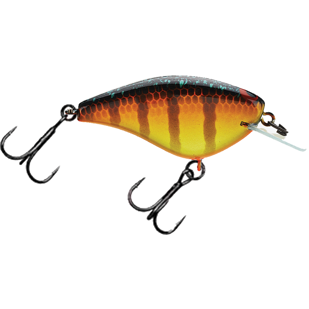 Jackall Lures