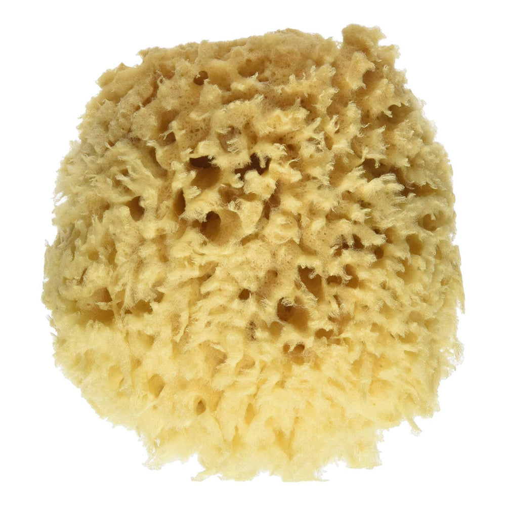 baby natural bath sponge