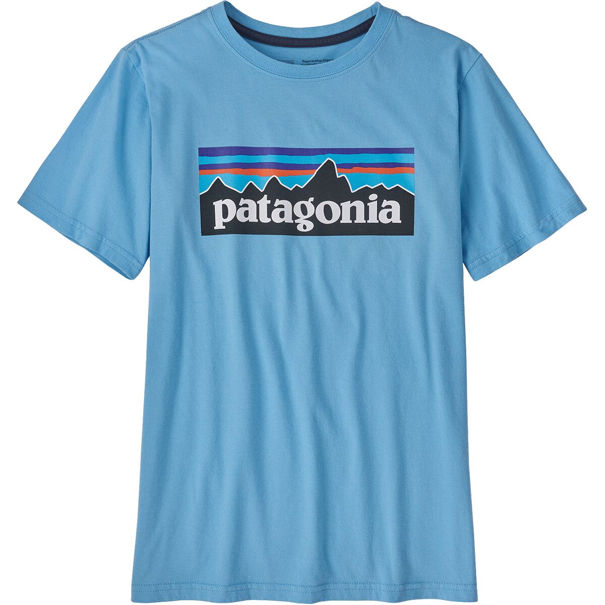 Boys' Patagonia | Regenerative Cotton P-6 Logo Tee | Lago Blue - F.L. CROOKS.COM
