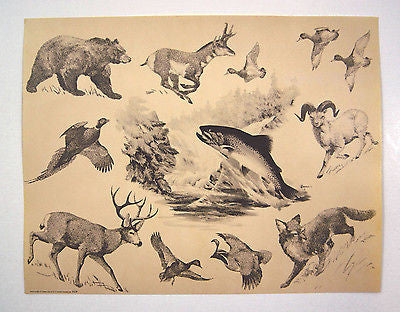 Vintage 1972 Fred Sweney Wildlife Print and Calendar 1